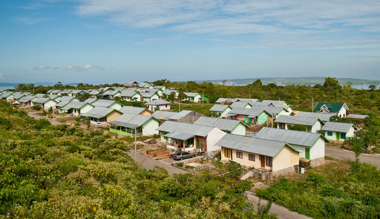 Neighborhood Upgrading and Shelter Sector